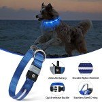 Bright LED Dog Collar for Night Walks - Waterproof