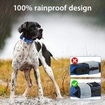 Bright LED Dog Collar for Night Walks - Waterproof