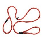 Durable Adjustable Slip Lead for Small Dogs