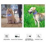 Bright LED Dog Collar for Night Walks - Waterproof
