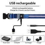 Bright LED Dog Collar for Night Walks - Waterproof