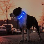 Bright LED Dog Collar for Night Walks - Waterproof