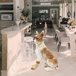 4 Pack Non-Slip Dog Socks for Paw Protection