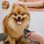 Professional Rechargeable Dog Clippers for Heavy Coats
