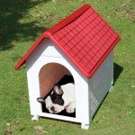 FEFE® Waterproof Outdoor Dog House for All Sizes