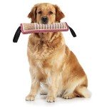 Opopark Durable Tug Toy for Dogs - 2 Pieces