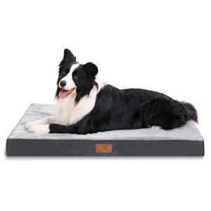 Large Washable Orthopedic Dog Bed with Waterproof Cover