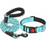 Reflective Adjustable Neoprene Dog Collar for All Sizes