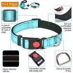 Reflective Adjustable Neoprene Dog Collar for All Sizes