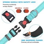 Reflective Adjustable Neoprene Dog Collar for All Sizes