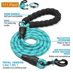 Reflective Adjustable Neoprene Dog Collar for All Sizes