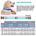 Reflective Adjustable Neoprene Dog Collar for All Sizes