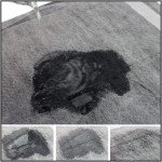 Croci Super Nappy Carbon Underlay, 14 Pack