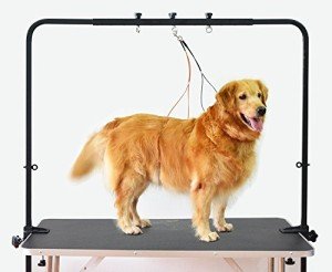 Overhead Dog Grooming Arm with Clamps and Harness