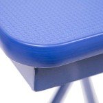 Portable Height-Adjustable Dog Grooming Table - Blue
