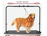 Overhead Dog Grooming Arm with Clamps and Harness
