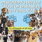 Natural Herbal Cough Relief for Dogs, 60ml