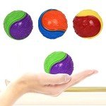 Squeaky Dog Balls for Chewing and Training