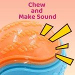 Squeaky Dog Balls for Chewing and Training