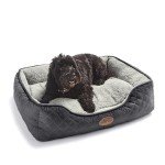 Airmax Medium Dog Bed with Removable Cushion