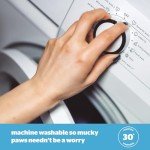 Airmax Medium Dog Bed with Removable Cushion