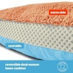 Airmax Medium Dog Bed with Removable Cushion