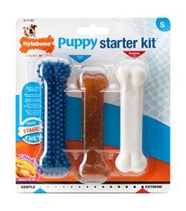 Nylabone Puppy Starter Kit: 3 Dental Chew Bones