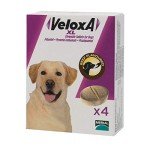 Veloxa XL Chewable Wormer for Dogs - 4 Tablets