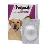 Veloxa XL Chewable Wormer for Dogs - 4 Tablets