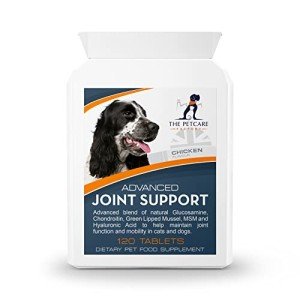 Joint Support Supplement for Dogs – 120 Tablets