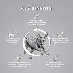 Titanium Complete Dry Dog Food - Chicken & Veggies