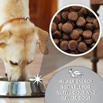 Titanium Complete Dry Dog Food - Chicken & Veggies