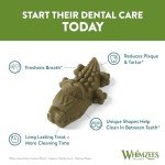 Whimzees Alligator Dog Dental Chews, Medium, 12 Pack