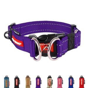 EzyDog Reflective Double Up Dog Collar - Purple