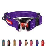 EzyDog Reflective Double Up Dog Collar - Purple