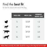 EzyDog Reflective Double Up Dog Collar - Purple