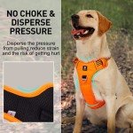Adjustable No-Pull Dog Harness for Large Dogs