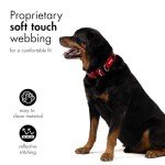 EzyDog Reflective Double Up Dog Collar - Purple