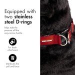 EzyDog Reflective Double Up Dog Collar - Purple