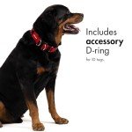 EzyDog Reflective Double Up Dog Collar - Purple