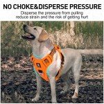 Adjustable No-Pull Dog Harness for Large Dogs