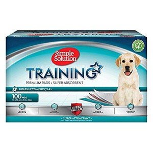 Premium Absorbent Dog and Puppy Training Pads - 100 Pack