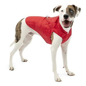 Reversible Water-Resistant Dog Jacket for Small Dogs