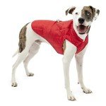 Reversible Water-Resistant Dog Jacket for Small Dogs
