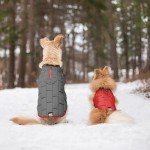 Reversible Water-Resistant Dog Jacket for Small Dogs