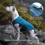 Reversible Water-Resistant Dog Jacket for Small Dogs