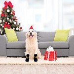 2 Pairs Anti-Slip Dog Socks with Adjustable Straps