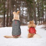 Reversible Water-Resistant Dog Jacket for Small Dogs