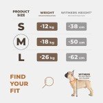 Stable Waterproof Car Seat for Medium Dogs