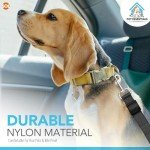 2-Pack Adjustable Dog Car Seat Belts